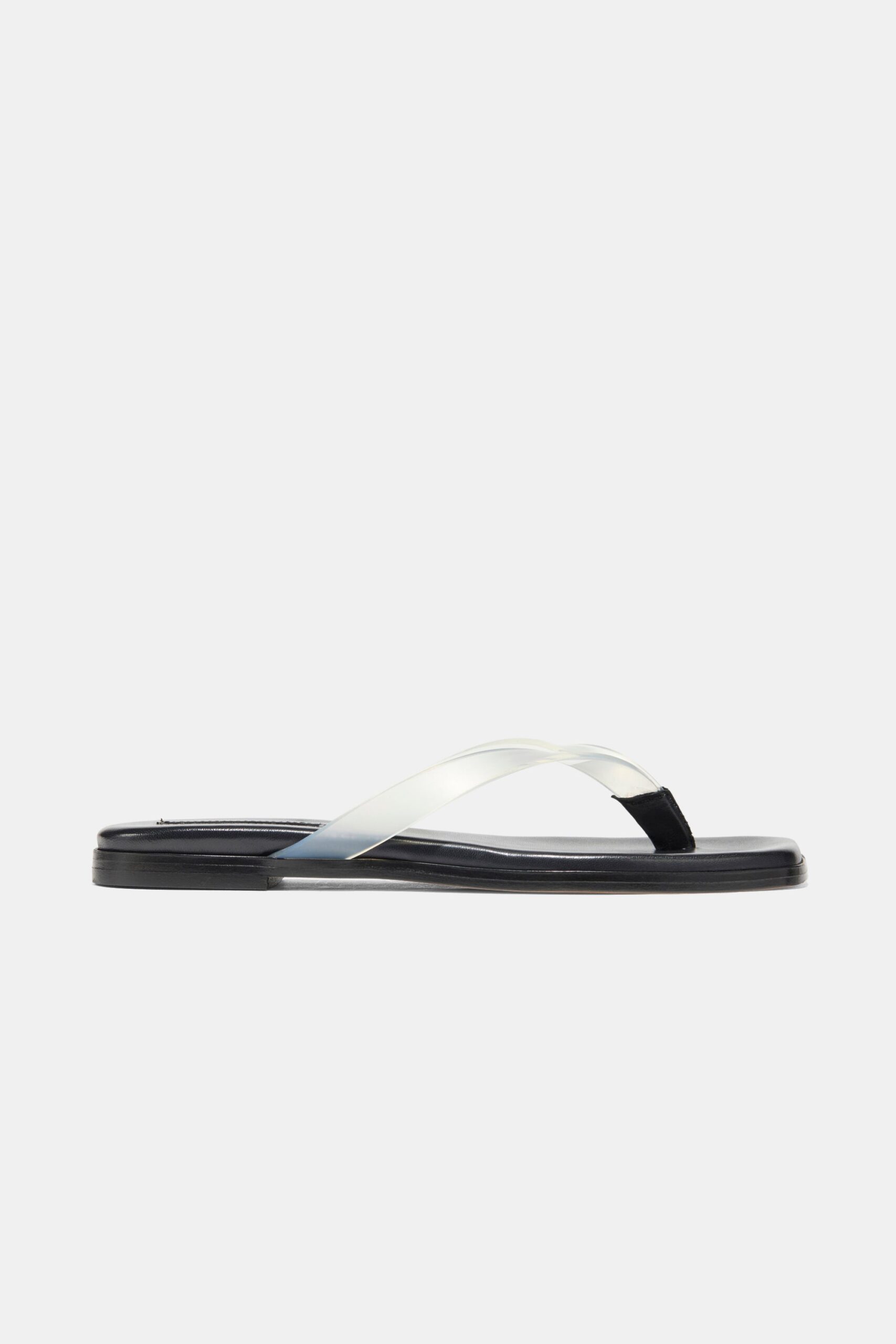 36b746bd-4c41-49b6-8b2b-c368d68ac01c_META_CLEAR_TPU_SIDE