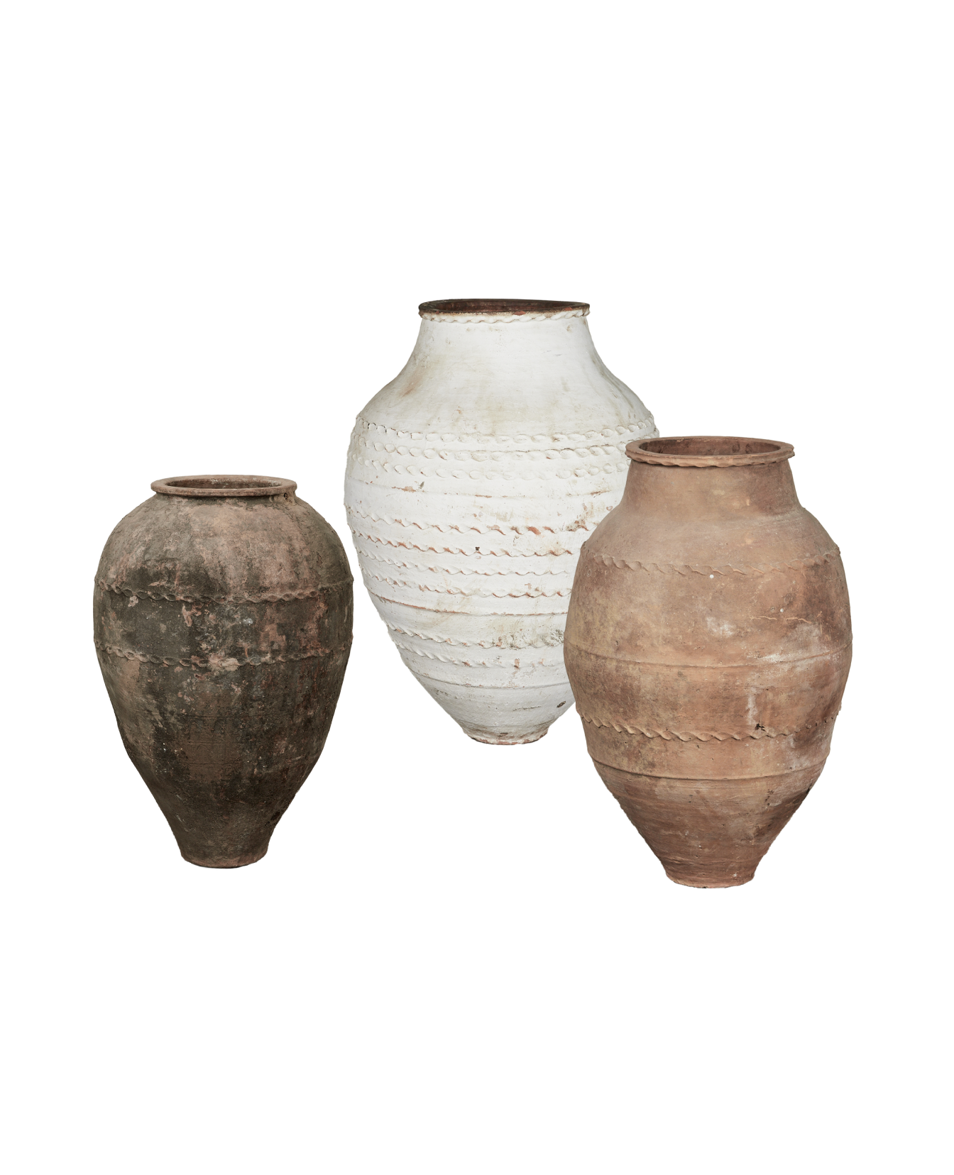 OliveJar-Assorted-MultiShot_1
